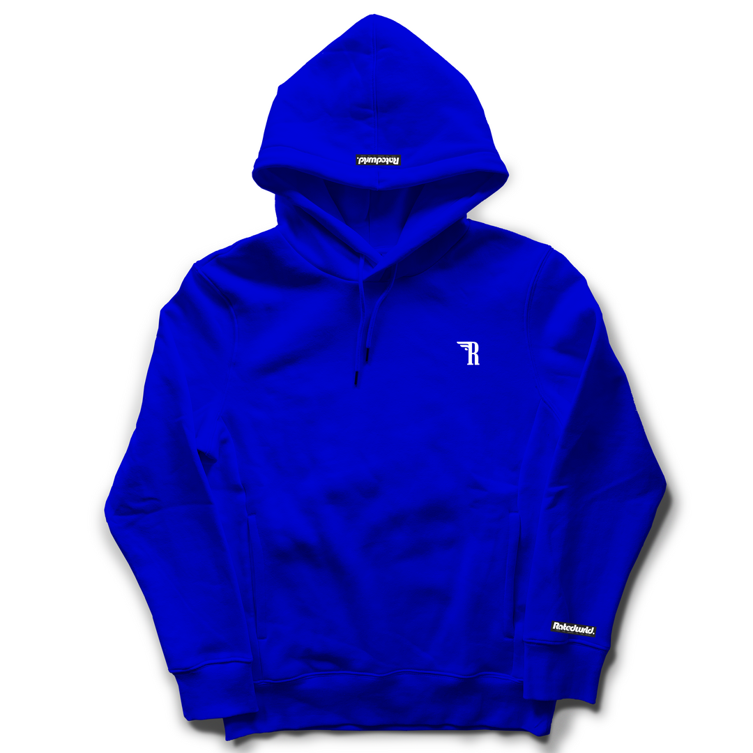 I Drive Low Hoodie